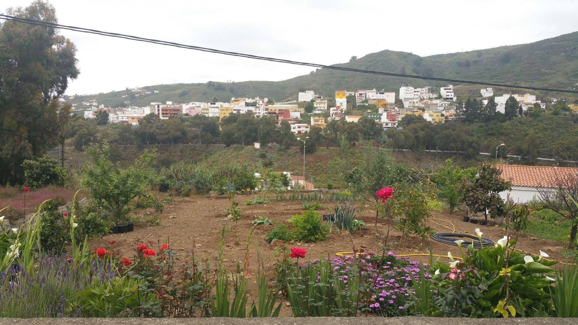 Del Pino Hostel Teror Εξωτερικό φωτογραφία